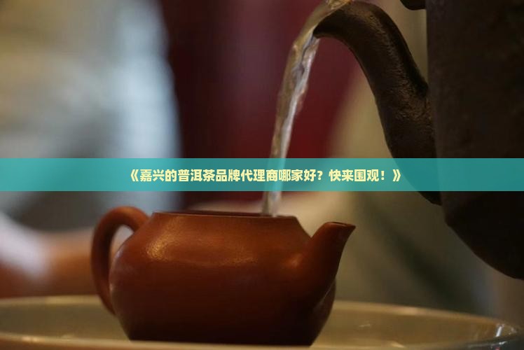 嘉兴普洱茶品牌代理商排行