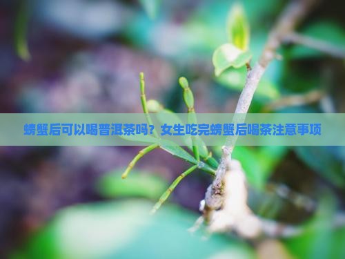 螃蟹后可以喝普洱茶吗