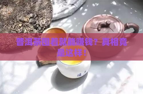 普洱茶囤积赚钱