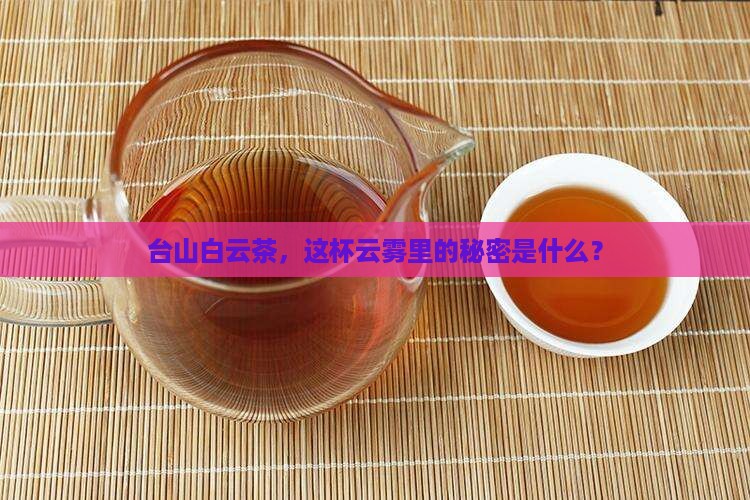 台山白云茶是什么茶
