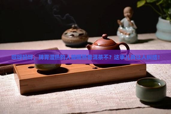 脾胃湿热可以喝熟普洱茶吗
