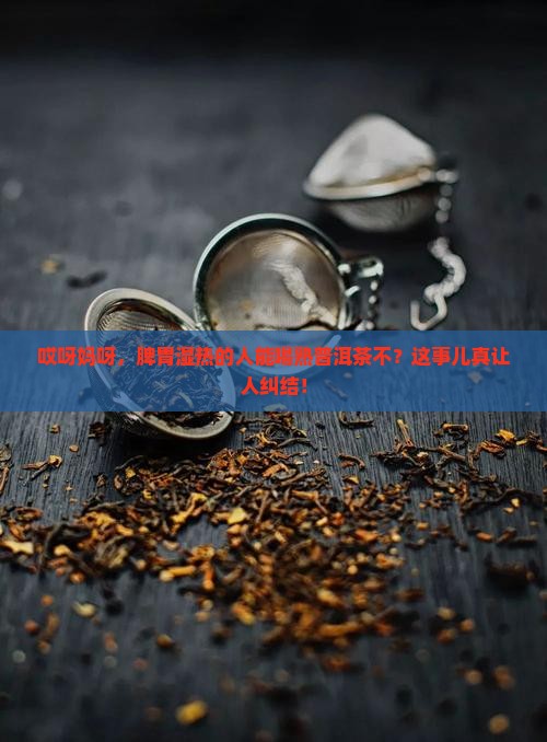 脾胃湿热可以喝熟普洱茶吗