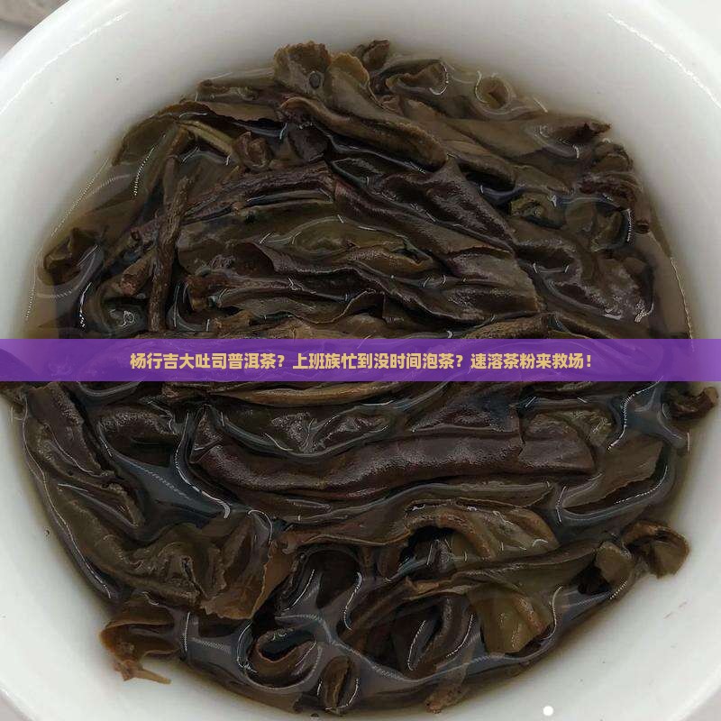 杨行吉大吐司普洱茶
