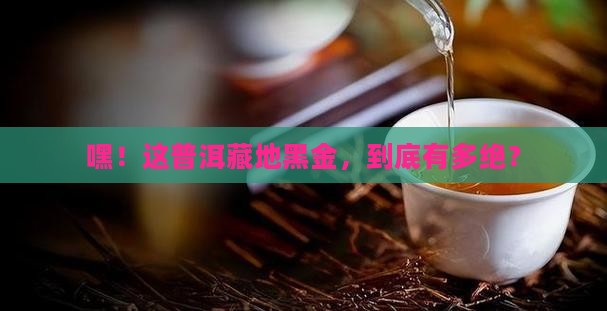 普洱茶藏地黑金