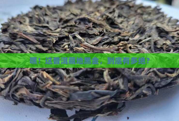 普洱茶藏地黑金