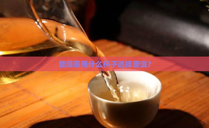 生普洱茶用什么样的品茗杯
