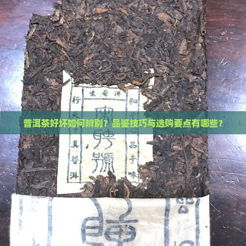 如何品普洱茶的好坏呢
