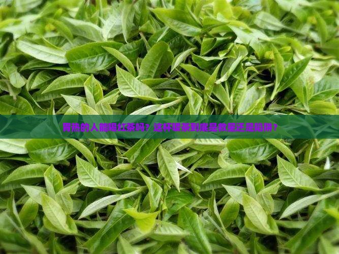 胃热的人能喝红茶吗