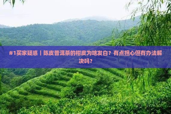 陈皮普洱茶的柑皮会发白