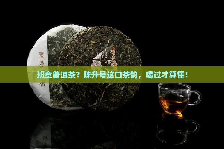 陈升号班章普洱茶
