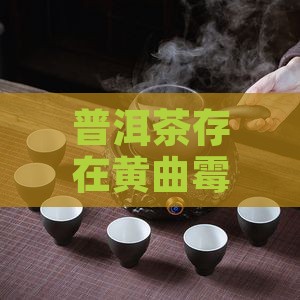 普洱茶存在黄曲霉