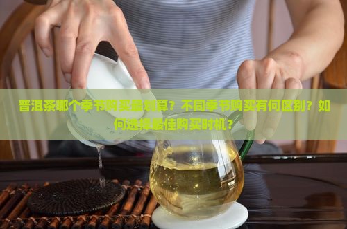 普洱茶购买获的季节