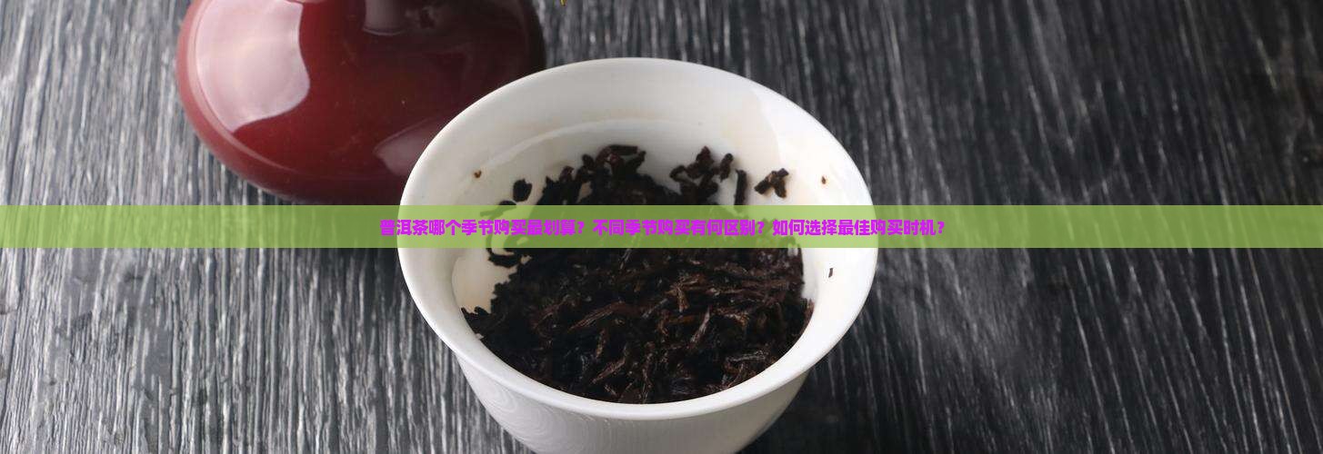 普洱茶购买获的季节