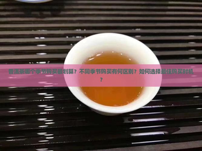 普洱茶购买获的季节