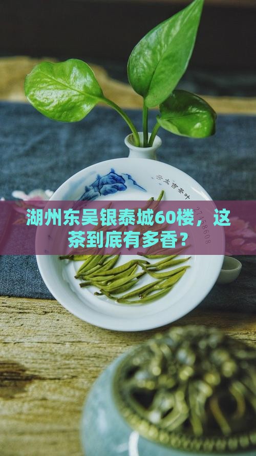 湖州东吴银泰城60楼喝茶