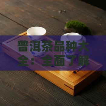 中吉号普洱茶品种大全
