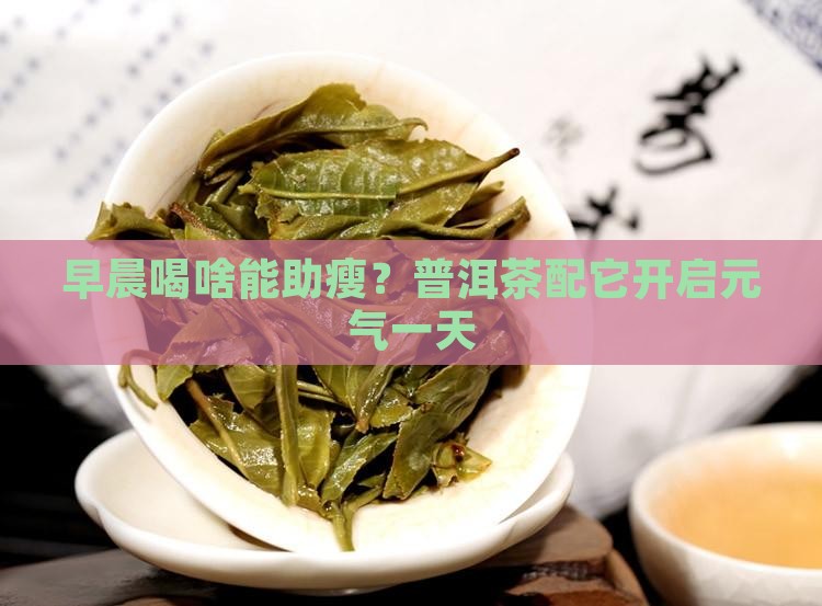 普洱茶减肥早餐喝什么