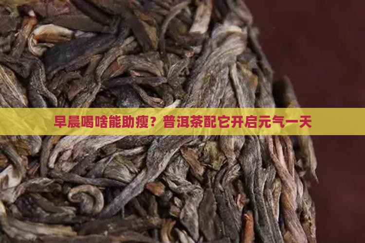 普洱茶减肥早餐喝什么