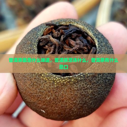 普洱茶最忌什么味道