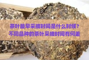 茶叶最早采摘时间