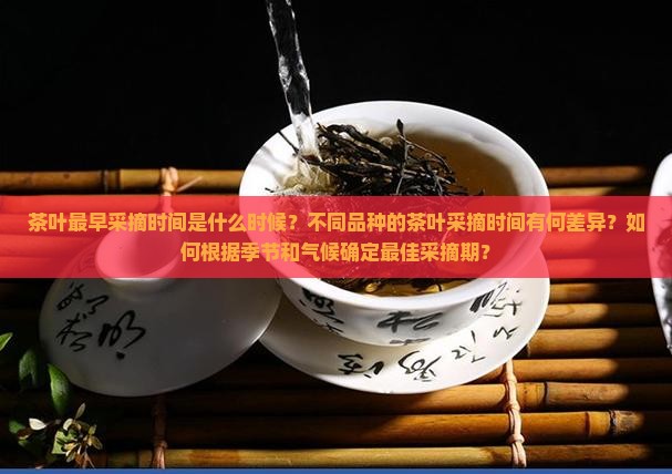 茶叶最早采摘时间