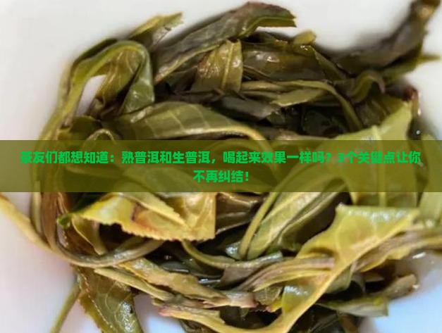 熟普洱和生普洱茶的功效一样吗