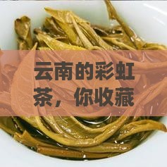 七彩云南普洱茶藏品