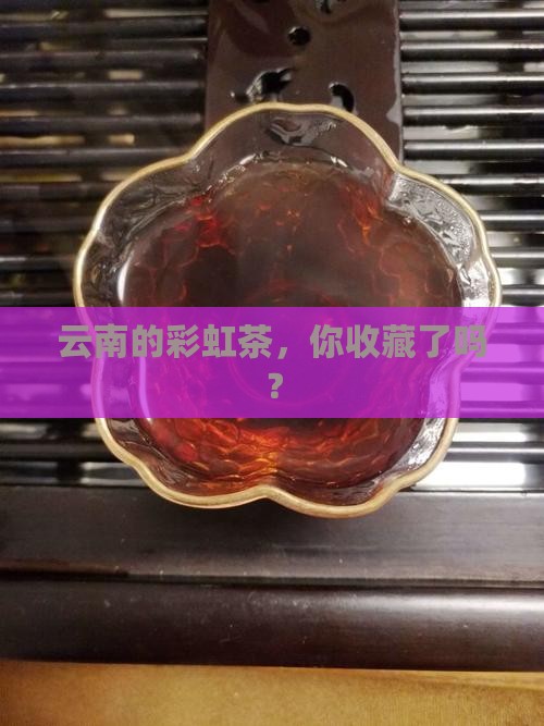 七彩云南普洱茶藏品