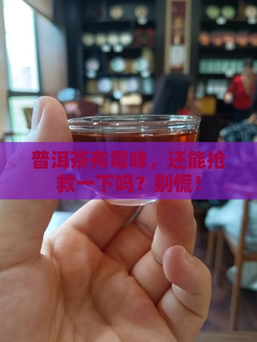 普洱茶有一点霉味能喝吗