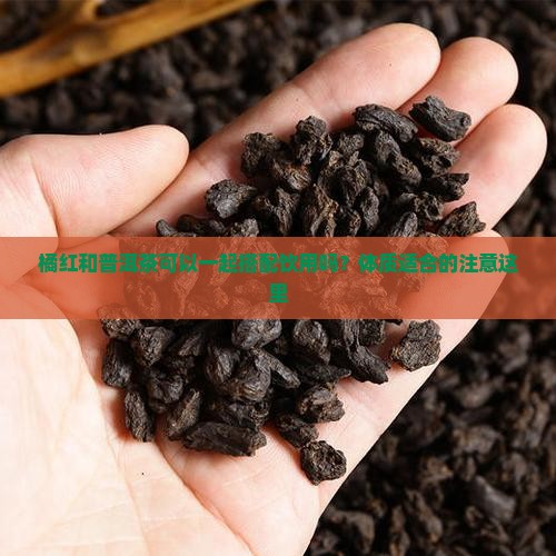 橘红和普洱茶能一起泡吗