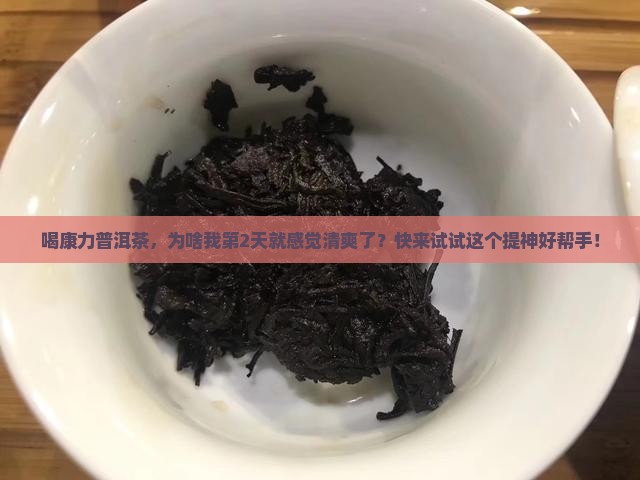 康力普洱茶的作用