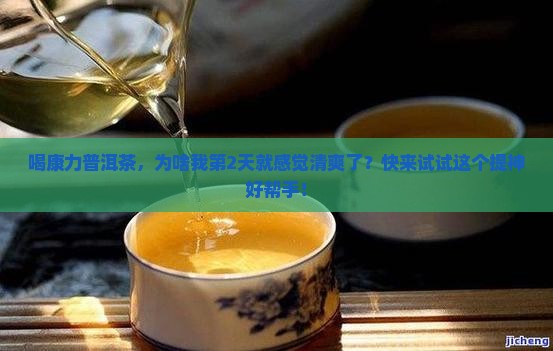 康力普洱茶的作用