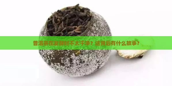 普洱茶发酵时不干净
