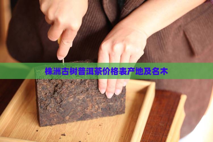 株洲古树普洱茶