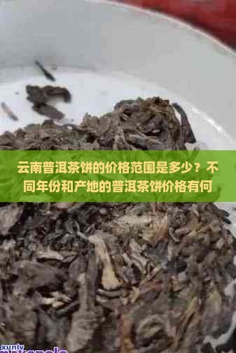 云南普洱茶饼多少钱一饼