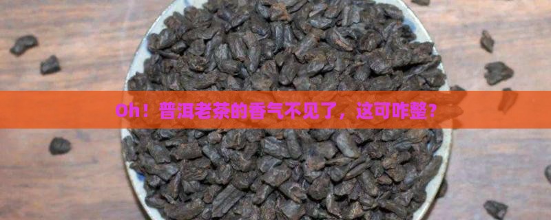 普洱茶老茶香气丢失怎么办