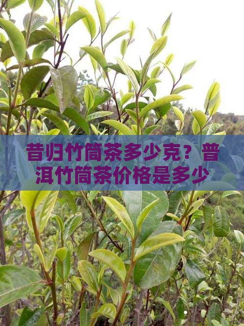 昔归竹筒茶多少克