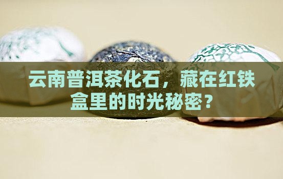 云南普洱茶化石红铁盒