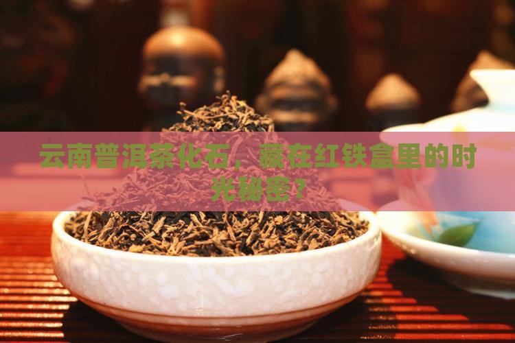 云南普洱茶化石红铁盒