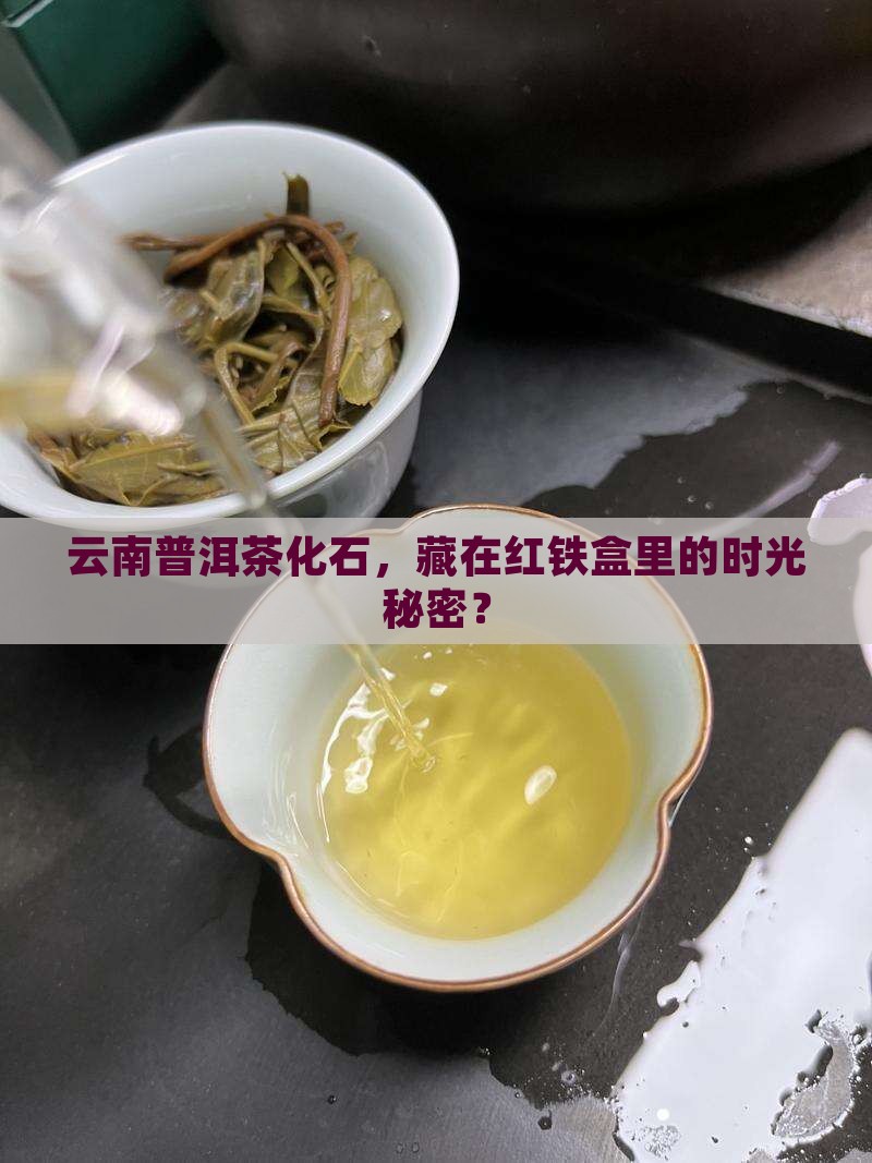 云南普洱茶化石红铁盒