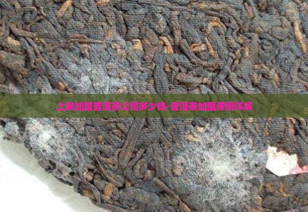 上海加盟普洱茶公司多少钱 上海加盟普洱茶公司多少钱