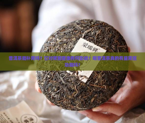 普洱茶有补肾的功能吗百度百科