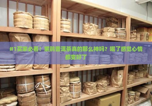 紫鹃普洱茶的功效普洱茶紫鹃