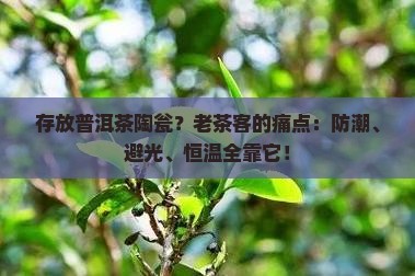 存放普洱茶陶瓮
