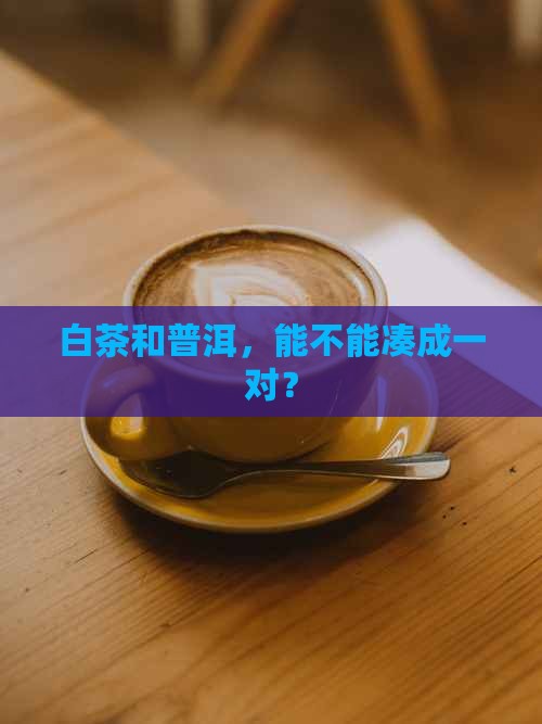 白茶喝普洱茶能放在一起吗
