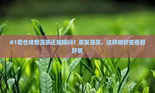 普洱茶霉仓味如何处理