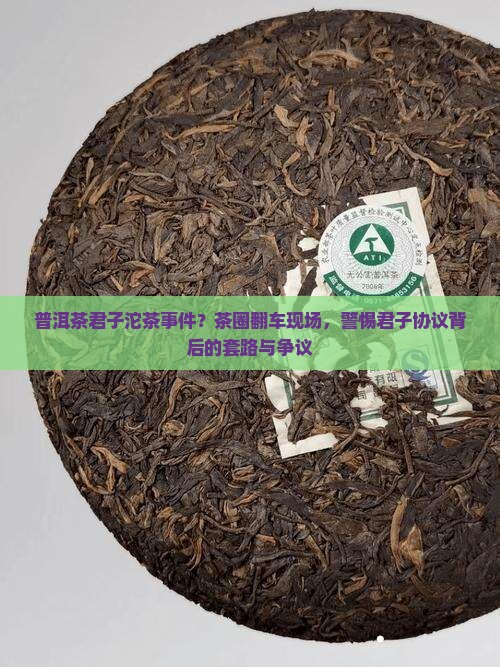 普洱茶君子沱茶事件