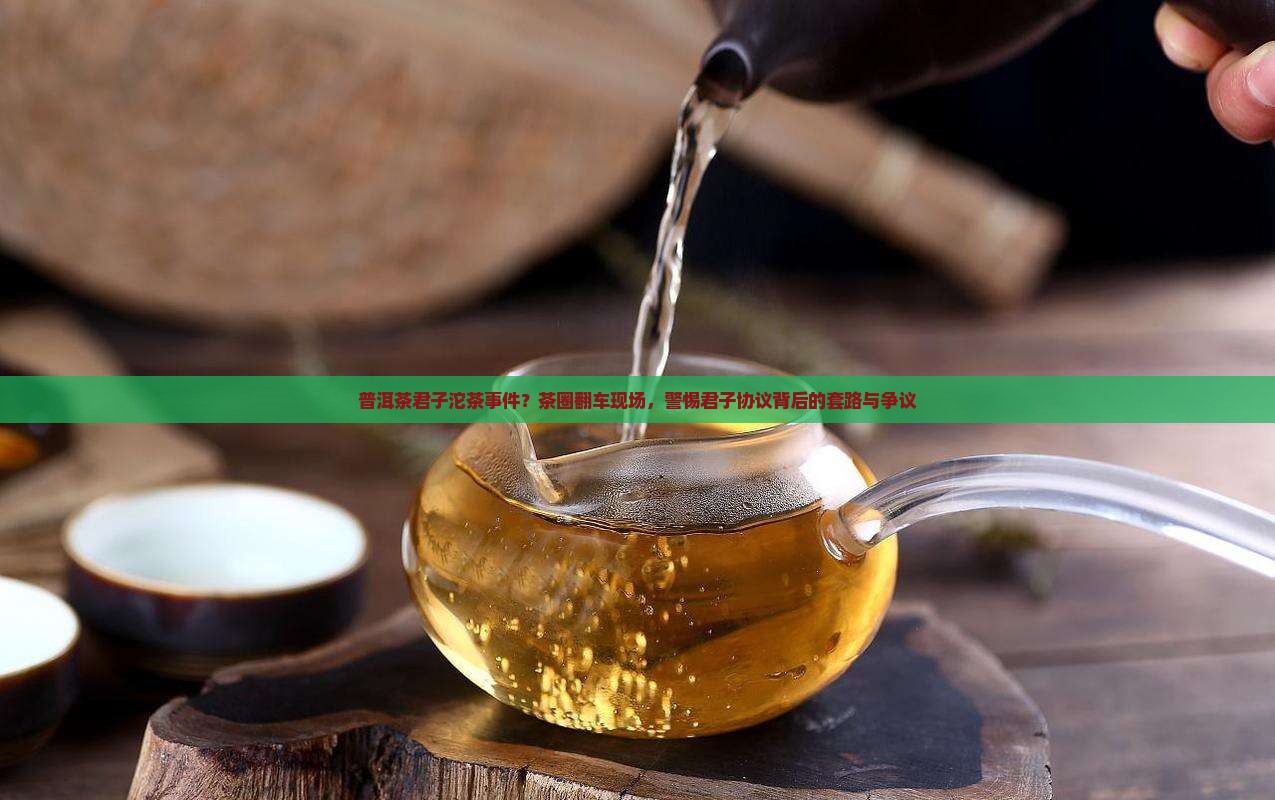普洱茶君子沱茶事件