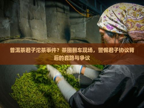 普洱茶君子沱茶事件