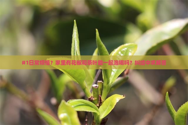 花椒和茶叶可以一起泡着喝吗